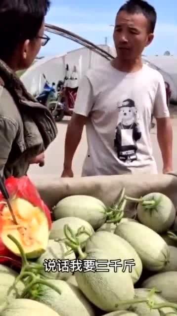 假装实际在吃瓜,一场“吃瓜”盛宴背后的真相与内幕