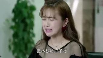 吃瓜小月小说,揭秘娱乐圈背后的秘密风云