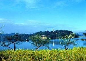 百丈湖吃瓜,瓜香四溢，探寻夏日消暑美食之旅