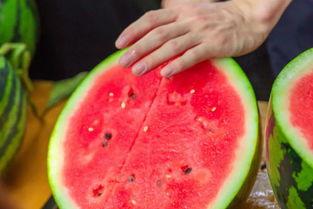 云南各高校吃瓜视频,校园美食视频走红网络