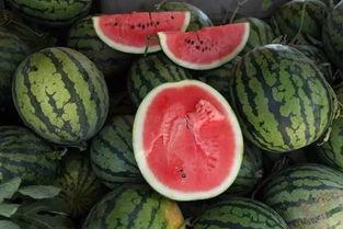 吃瓜抓钱,揭秘网络红人财富密码