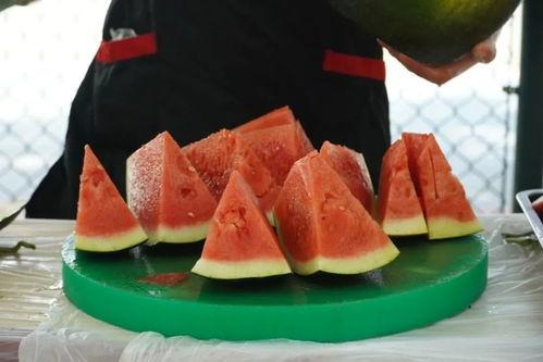 广西职业大学吃瓜,趣味横生的校园生活剪影