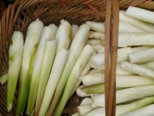 白色的瓜可以炒着吃叫啥瓜,家常菜谱中的清新之选