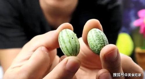 xiaoxiao吃瓜,揭秘娱乐圈那些事儿