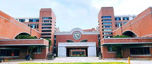 深圳中学女吃瓜,一场别开生面的“吃瓜”盛宴