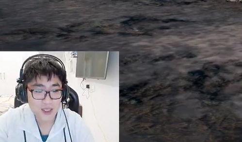 吃瓜的隔壁老王,揭秘社区里的“瓜王”传奇