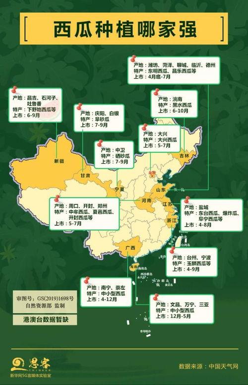 吃瓜大省山西,瓜田李下，品味三晋美食文化