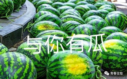 人民大学吃瓜,揭秘校园生活新潮流