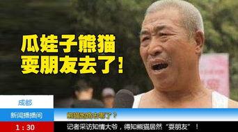 吃瓜的刘大爷,揭秘娱乐圈那些事儿