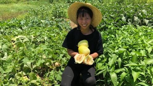 浙江农村姑娘吃瓜,浙江农村姑娘的夏日吃瓜日常