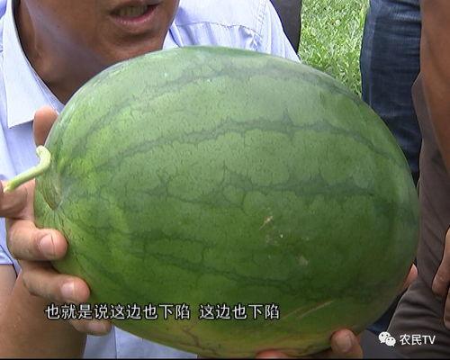 doctor吃瓜,揭秘娱乐圈的甜蜜与苦涩