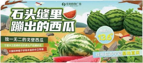 每日吃瓜热门大瓜全网更新,全网热门大瓜新鲜速递