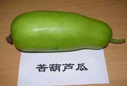 葫芦瓜能生着吃吗,健康美味两相宜？