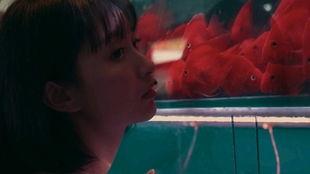 暴躁的的吃瓜少女,揭秘校园里的麻辣辣观察者