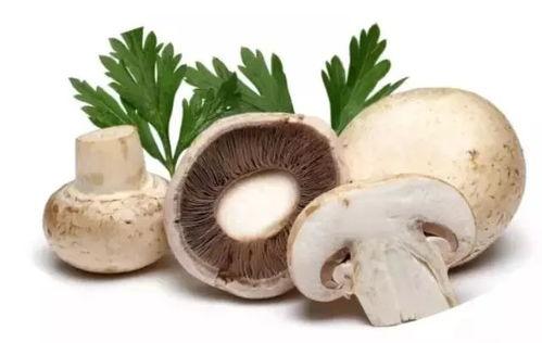 吃瓜爆料蘑菇视频,吃瓜爆料蘑菇视频带你探秘幕后真相