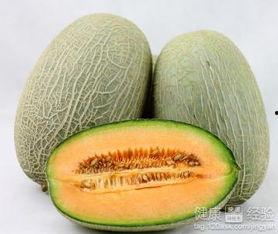 李子园吃哈密瓜,一场甜蜜的味蕾之旅