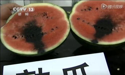 广告灵性吃瓜视频,揭秘灵性吃瓜视频背后的创意魅力