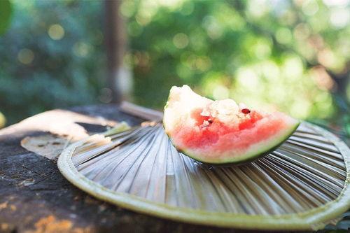 人和鱼吃瓜,一场奇妙的跨界美食之旅