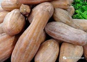 早晨吃方瓜,开启健康活力新一天