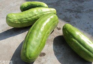 脆瓜可以吃嘛怎么吃,健康美味两不误