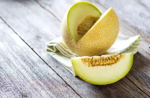 刚结果的哈密瓜可以吃吗,安全可食用！