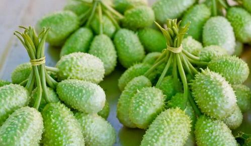 世豪吃瓜,揭秘娱乐圈背后的那些事儿