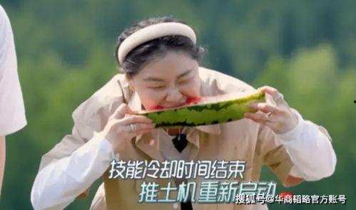 洋洋吃瓜,揭秘娱乐圈幕后故事