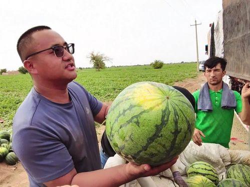 乌鲁木齐吃瓜新闻,揭秘背后故事与网络热议