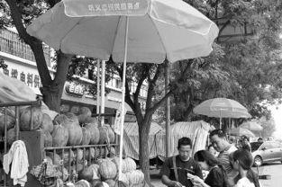 巩义吃瓜新闻,揭秘当地热点事件背后的真相与争议