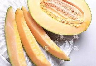 狂吃哈密瓜,狂吃之旅，尽享甜蜜诱惑