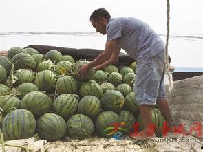 吃瓜哪里便宜,揭秘哪里吃瓜最便宜