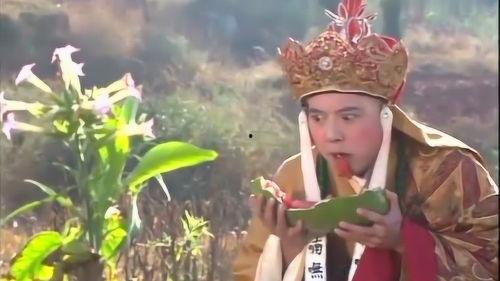 金池圣僧吃瓜,一场佛门与世俗的跨界碰撞