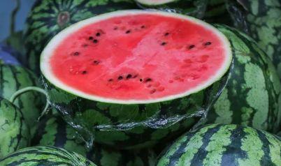 两个吃瓜,揭秘两位吃瓜群众的趣味故事