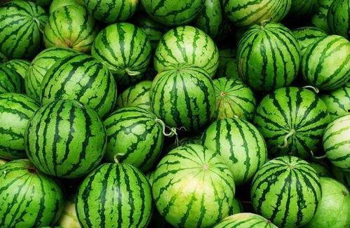 吃瓜群众西瓜摊位