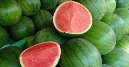 准备吃瓜怎么回复,轻松应对炎炎夏日