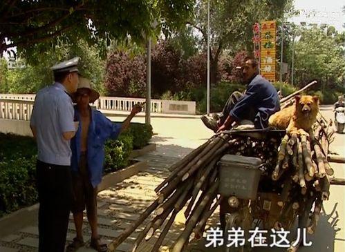 谭大爷吃瓜,一场别开生面的吃瓜盛宴  第3张