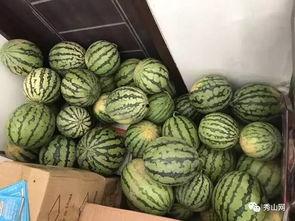 吃瓜群250018  第2张