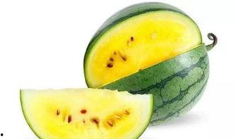 协和学院吃瓜,揭秘校园热点背后的故事  第2张