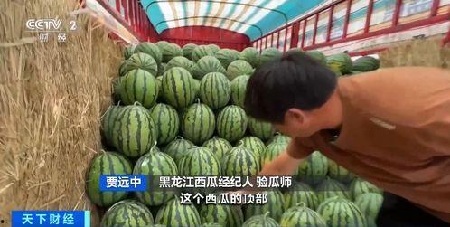 隆德吃瓜  第2张