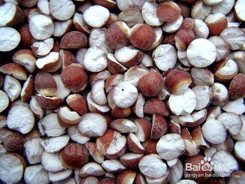 吃籽瓜胃疼,揭秘籽瓜与胃部健康的微妙关系  第2张