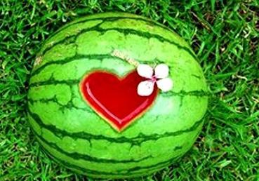 梦梦吃瓜了 第3张 梦梦吃瓜了 第3张