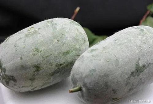 吃瓜现场一线吃瓜,揭秘娱乐圈幕后风云