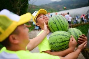 吃瓜现场一线吃瓜,揭秘娱乐圈幕后风云 第3张 吃瓜现场一线吃瓜,揭秘娱乐圈幕后风云 第3张