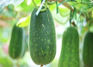 吃瓜系列3,揭秘娱乐圈背后的那些事儿 第3张 吃瓜系列3,揭秘娱乐圈背后的那些事儿 第3张