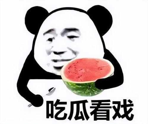 炮哥吃瓜平台  第2张