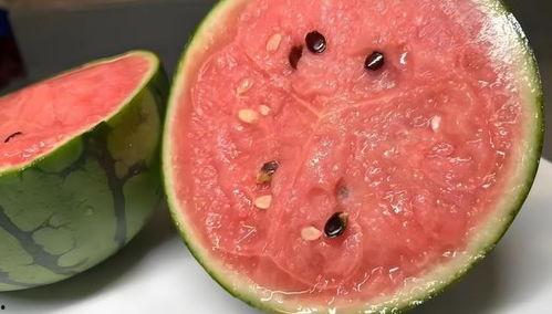 可以吃瓤的瓜  第2张